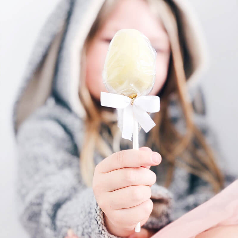 Pasen cake-pops met kleurrijke chocolade (12 stuks)